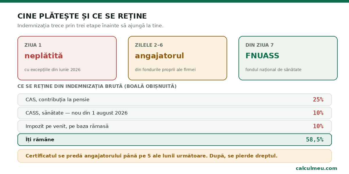 Traseul banilor: prima zi neplătită, cinci zile de la angajator, restul din FNUASS.